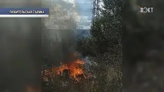 Рубрика 