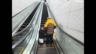 2026년 1월 12일
