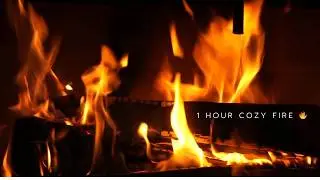 Cozy Fireplace 🔥 1 Hour Loop | Relax, Sleep, Study