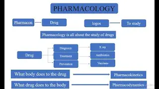 Pharmacokinetics || Pharmacology in nepali || B Pharm ||