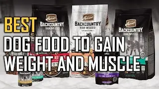 Top 5 Best Dog Food to Gain Weight and Muscle Review in 2023 | Flavor Salmon/Duck/Red Meat/Chicken
