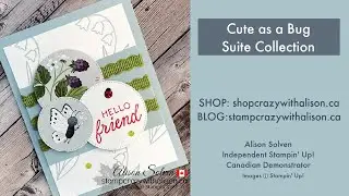 Cute as a Bug Suite