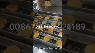 Skywin Chocolate jam filling machine Sandwich Biscuit Making Machine