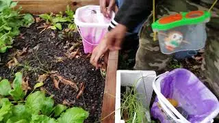 Birdbox Challenge funny Challenge