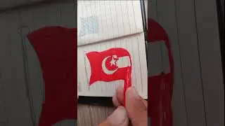 turkey flag drawing  #flagdrawing #countryquiz #quizshorts