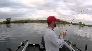 Columbia river chinook jack.....upgrade.