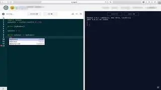 Python Random Numbers