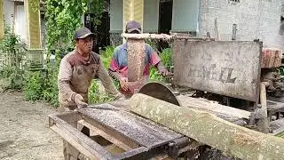 Amazingly Beautiful, Sawing Wood in the Yard 