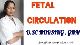 Fetal Circulation - Explained Clearly ||Pooja Rauniyar #fetalcirculation #circulation #fetal