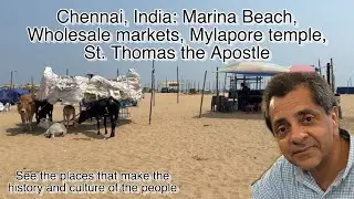 Chennai - Travel, History, Culture: See the Wholesale markets, Temples, Beach, St Thomas Basilica