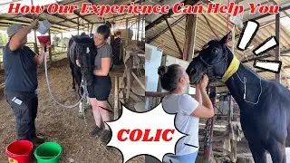 EMERGENCY VET-MY HORSE GOT COLIC|How to notice early signs & care for #sick #colic #horse #vet