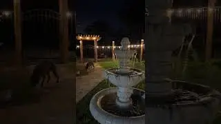 Do this 2 things for an amazing backyard😍 #waterfountain #lights #christmas #amazing #beautiful