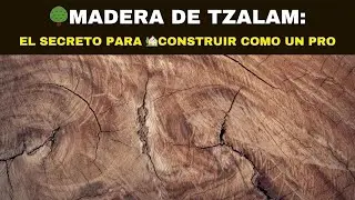 🌳MADERA DE TZALAM: El secreto para 🏡Construir como un Pro