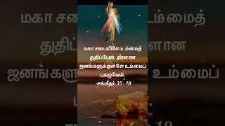 இன்றைய வேத வசனம் | Today Bible Verse in Tamil | #shortsfeed #jesus #bibleverse #biblevasanamintamil