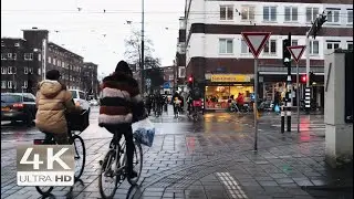 Walking in Amsterdam Postjesbuurt | Relaxing Binaural Rain Sounds ASMR 4K