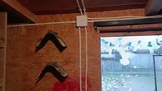 Podpaski. Pozdrawiam 🔥🔥🔥.