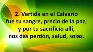 HIMNO 460 Con devoci&oacute;n y gratitud
