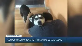 Community coming together to help injured service dog