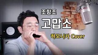 조항조-고맙소 [하모니카] Cover 정훈