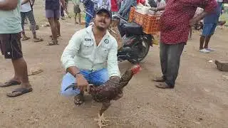 గుంటూరు నల్లపాడు శుక్రవారం నాటు కోళ్ళ మార్కెట్#Guntur nallapadu Friday nattukulla market#23/6/2023