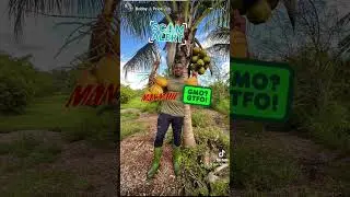 Your fake doctor Drholistic dr.bobby price exposed for gmo Coconut + Kale 🥬 #healthScams 🚨