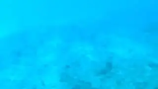 Diving At 'Hotspot'