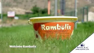 RAMBOLIX: Innovative licking bucket with rich vitamin and mineral content and controlled consumption