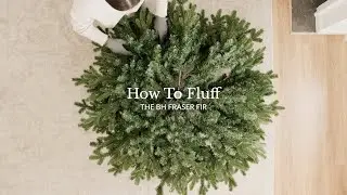How to Fluff the BH Fraser Fir&reg;