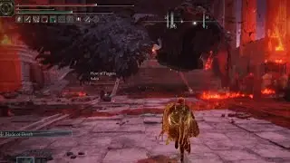 Fighting Mogh in Miquellas girlish shrine (Elden Ring noobs¹⁹)