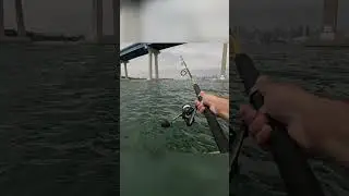 PRIMERA VEZ en Bote: &iquest;Desastre o &Eacute;xito en la Pesca?