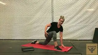 Extended Arm Lizard