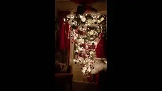 Upside down, rotating  Christmas tree!