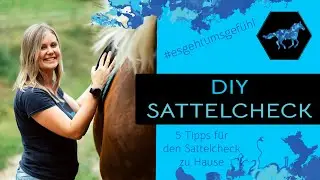 DIY Sattelcheck für zu Hause