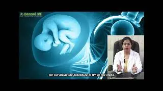 First Time IVF Success - More Tips From The Expert || How to Boost Your Chances of IVF Success ||
