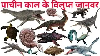 प्राचीन काल के खतरनाक जानवर!Dinosaurs & Ancient Animals Names in Hindi and Kids Learning Video