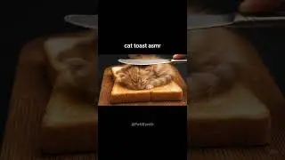 Spreading asmr Kittens on Toast? Watch Them Turn Into Jelly! #cat #cats #ai #asmr #bread #veo3 #veo