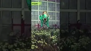 DOOM в Лавкрафте! Forgive Me Father 2!  #игры #игровыеновости #новостиигр #игровыеновинки
