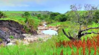 Video Charity Program Africa