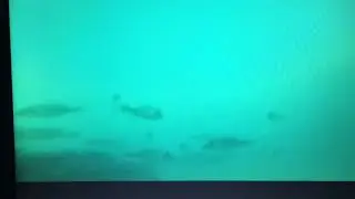Dhufish honey hole 
