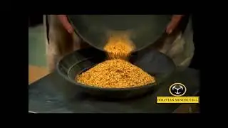 Bolivian Mining Fine Gold Recovery Plant short