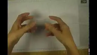 Heat Embossing Acetate/Window Sheet ~ Video Tutorial