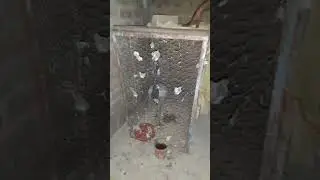konj parinda dost k ghr aya