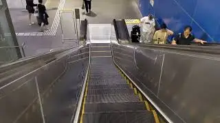 CNIM Escalator - Expo DT30