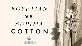 What Is the Difference Between Supima and Egyptian Cotton? | PURE PARIMA