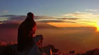 Golden eagle perch - incredible close up footage!
