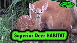 Deer Hunting Whitetails Resident Doe Assessment Fawn Recruitment Outlook