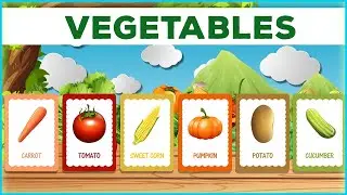 Vegetables Flash Cards for Kids | Learn Vegetables Name | Baby World