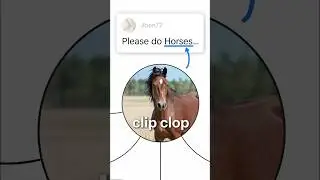 Horses EXPLAINED! 🏇📈