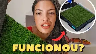 BANHEIRO para CACHORRO do PINTEREST| Grama sintética para cachorro fazer xixi funciona?
