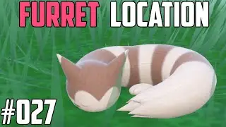 How to Catch Furret - Pok&eacute;mon Scarlet & Violet (DLC)